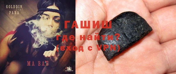 сатива Горняк