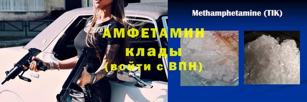 сатива Горняк
