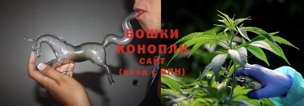 соль ск Горно-Алтайск