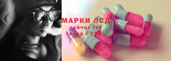сатива Горняк