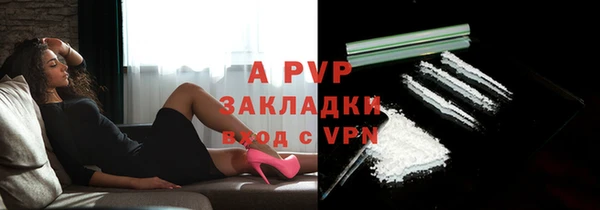 сатива Горняк