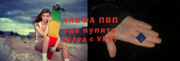 сатива Горняк