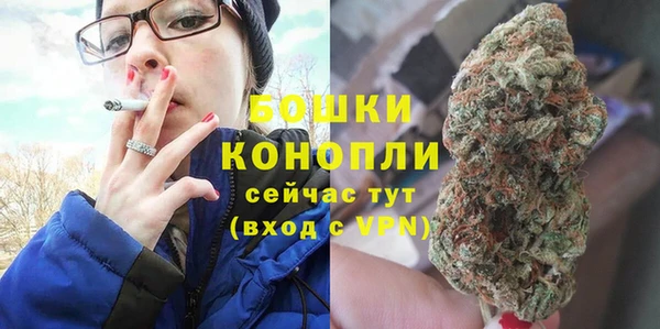 соль ск Горно-Алтайск