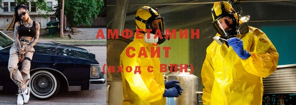 сатива Горняк