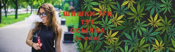сатива Горняк