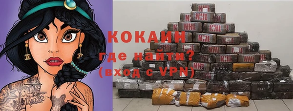 сатива Горняк