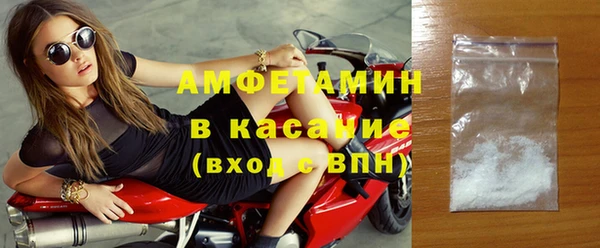 сатива Горняк
