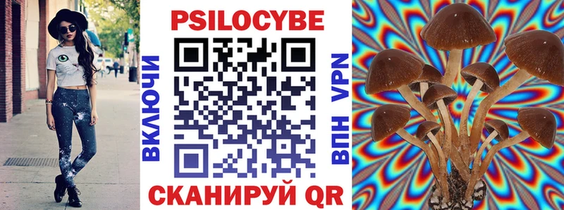 Псилоцибиновые грибы GOLDEN TEACHER  Чегем 